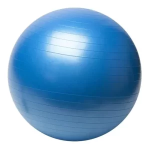 pelota de pilates SAF1616057